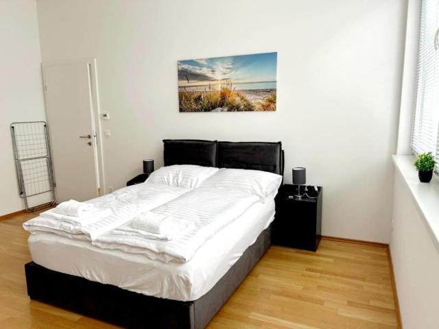 Gorgeous suite in nice area