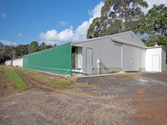 Gosford area Central Mangrove