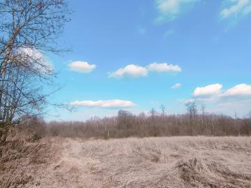 Urokliwa nieruchomość z potencjałem – 3 pokoje, 2 budynki