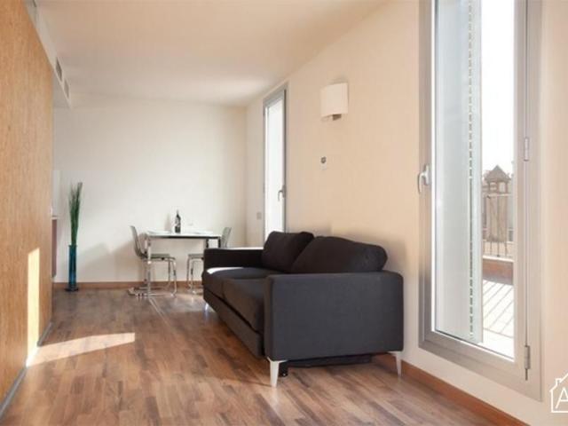 Gothic Quarter Apartment with a Private Terrace