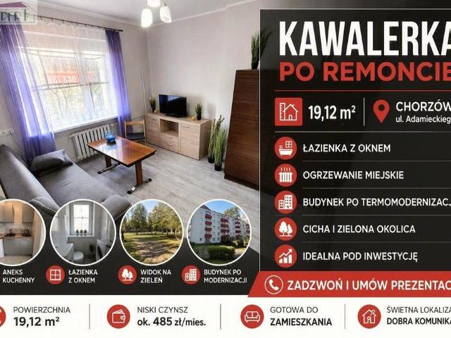 Gotowa kawalerka po remoncie z widokiem na zielone podwórko