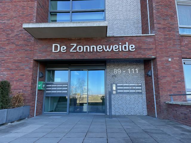 Goudbaard 111