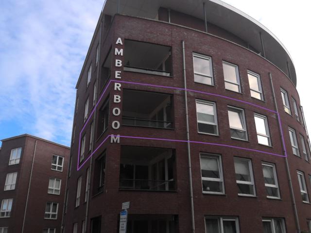 Goudmijnhof 84