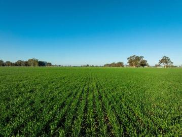 GOULBURN VALLEY IRRIGATION, DAIRY, LIVESTOCK & CROPPING COUNTRY | 355.61Ha / 878.71Ac