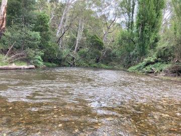 Gouburn River Frontage and Backing onto State Forest