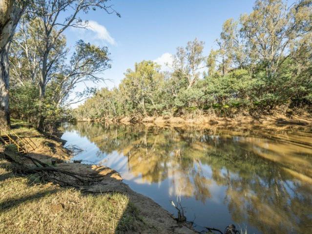 Goulburn River Lifestyle with Space, Serenity & Exceptional Shedding!