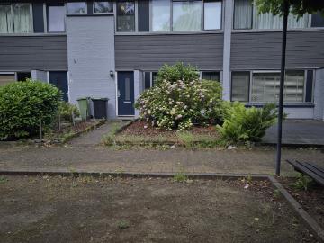 Govert Flinckstraat 6