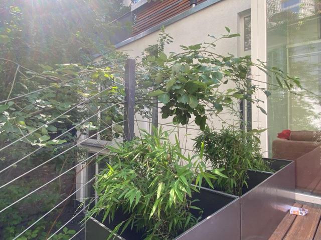 Glass house in the garden, Berlin Amsterdam Apartments for Rent