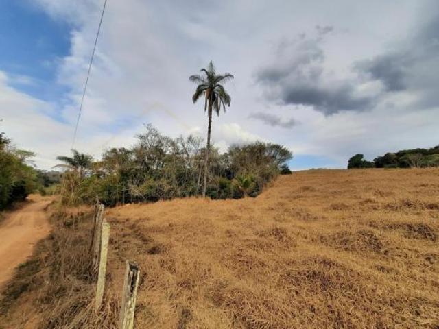Gleba 23.800 m² à venda em Correias, Bandeira do Sul