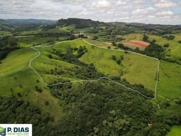 Gleba de Terra com Topografia Mista em Excelente Localização — Socorro/SP