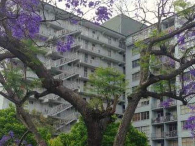 Glebe, sunny two bedroom apartment with city views and parking