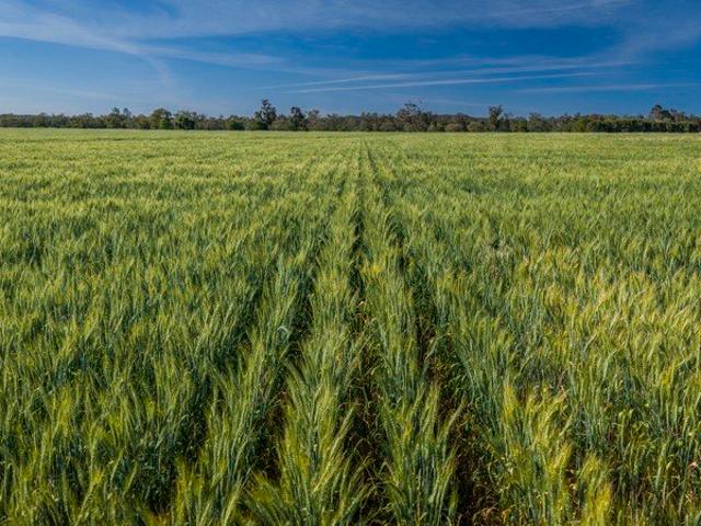 'Glen Isla' A Versatile Mixed Farming Operation