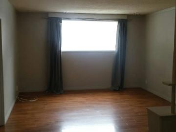 Glenbrook 3 bedroom apt. in reverse walkout lower, W/D