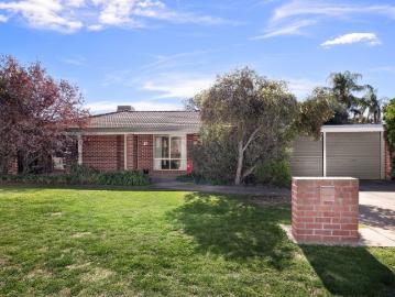 Glenfield Gem!