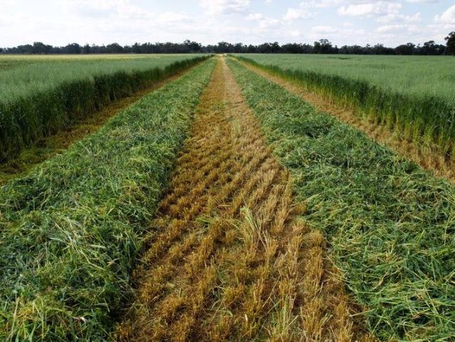 Glenroy, 658 acres for a perfect starter block or additional property
