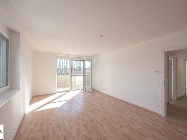 Go2Eisenstadt! Freundliche, helle 3 Zimmer Erstbezugswohnung + Balkon + Parkplätze