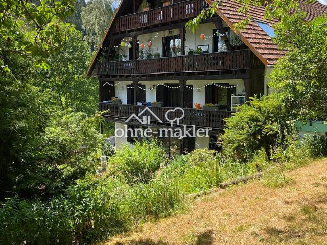 Gr. 4 Zi. Wohnung mit echten Mehrwerten! Flexible Nutzung möglich! App. im DG, Garten, Reserven