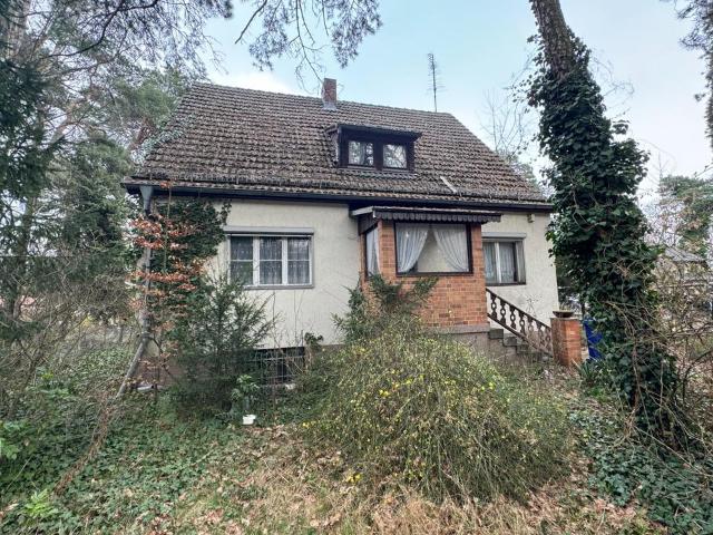 Gr. Einfamilienhaus in Wassernähe, Keller, kein Fluglärm, Grün