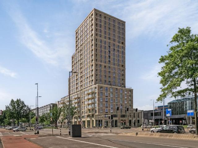 Grote Beer, 9, Rotterdam