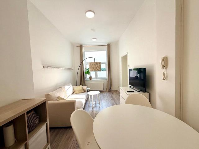 Ground floor, 1 furnished bedroom