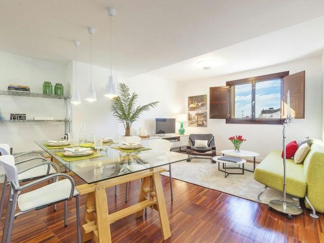 Ground Floor 2 Bedroom Apartment in City Center, Valencia Amsterdam Apartments for Rent