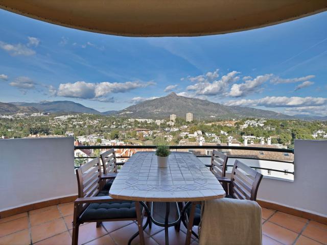Ground Floor Apartment in Nueva Andalucía