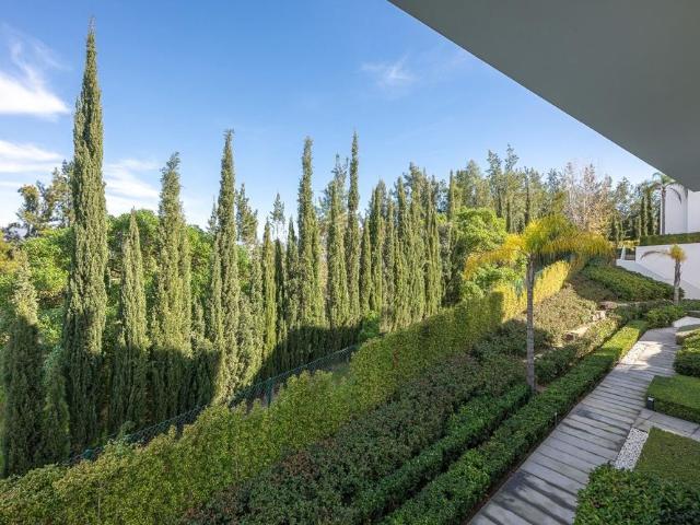 Ground Floor Apartment in Estepona