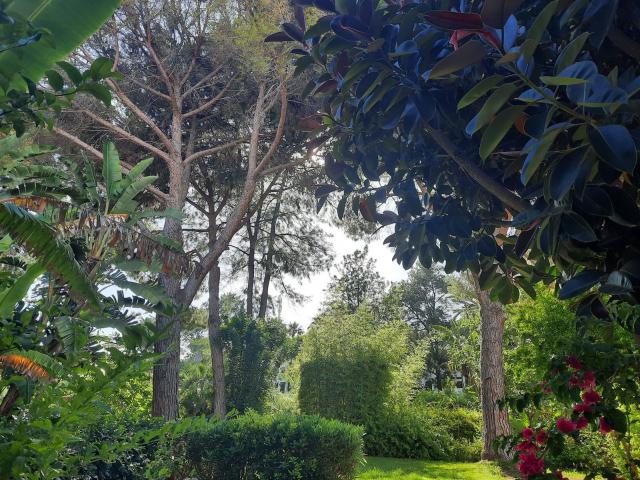 Ground Floor Apartment in Estepona