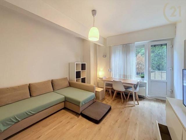 Ground floor studio for rent