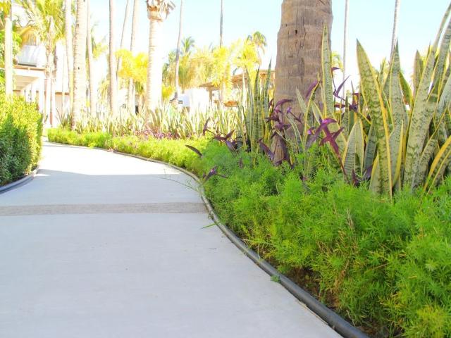 Ground Floor Palmilla Condo with Terrace