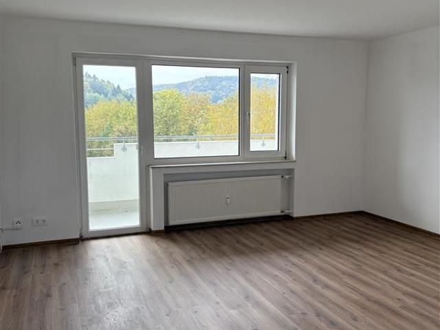 Grozügige 4 Zimmer Wohnung in Höchst ab sofort zu vermieten!