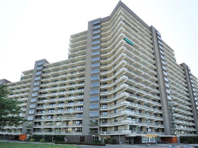 groningensingel 129 arnhem