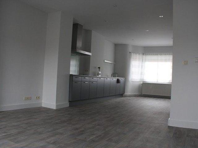 Groot luxe appartement, rustig gelegen, binnen de stadsring