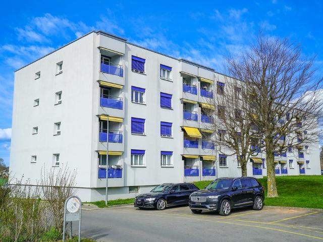 Großartige 3,5 Zimmer Wohnung, komplett renoviert