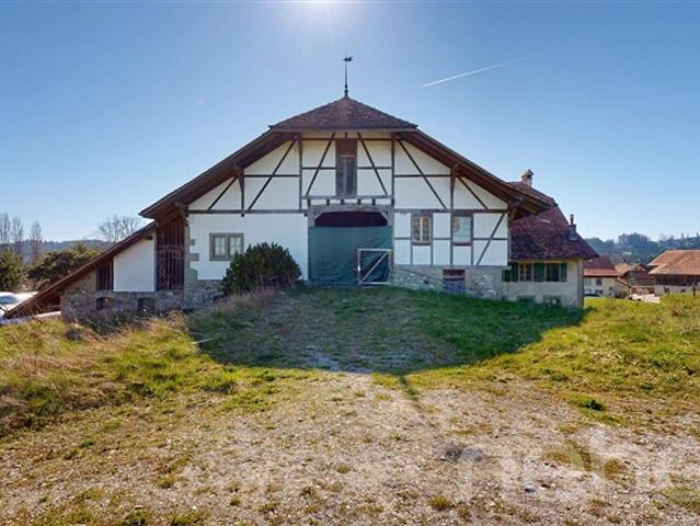 Großartiges historisches Bauernhaus mit großem Potenzial zur Umwandlung