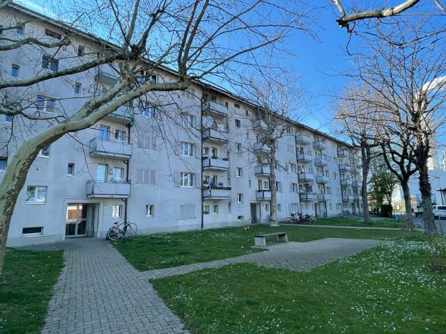 Grossbasel MFH Wasensträsschen