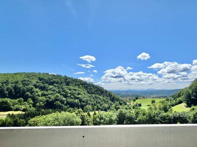 Grosse 1.5 Zi. Wohnung mit wunderschönem Aussicht, beim Wald