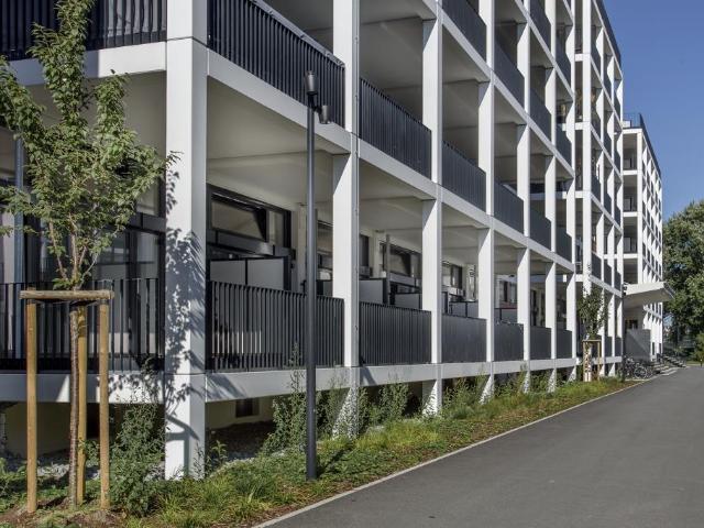 Große 1 Zimmer Loft Wohnung Am Tababakquartier