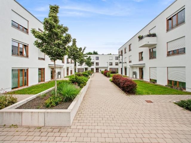 Große 4 Zimmer Wohnung für Familien in der Johannesvorstadt