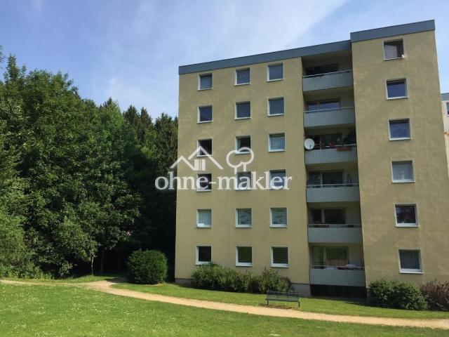 Große 4 Zimmer Wohnung mit Waldblick