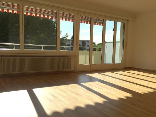 grosse 5.5 Zimmer Familienwohnung