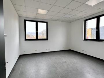 Brühl, Erftkreis, Kölner Bucht, Nordrhein-Westfalen