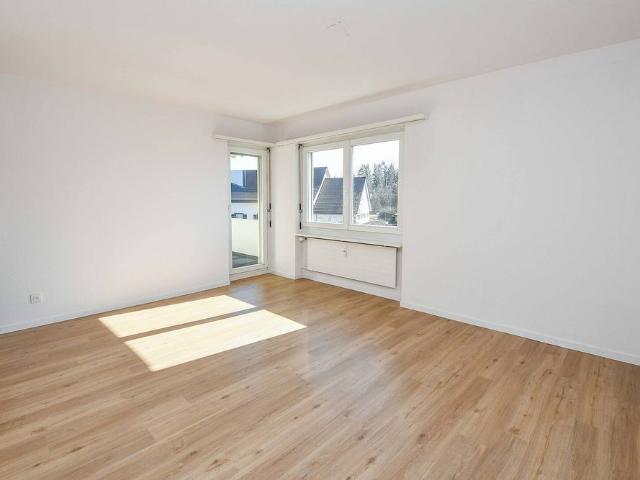 Grosse & gemütliche Wohnung mit Cheminée