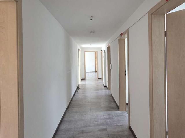 Große Dachgeschoss Wohnung zu vermieten