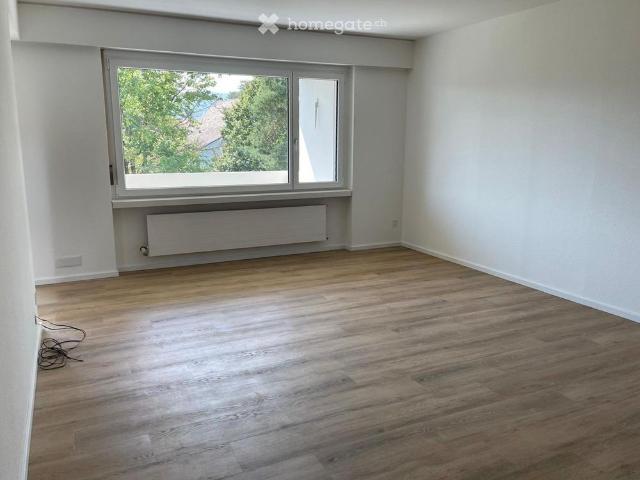 Grosse, helle und renovierte Wohnung mit Aussicht