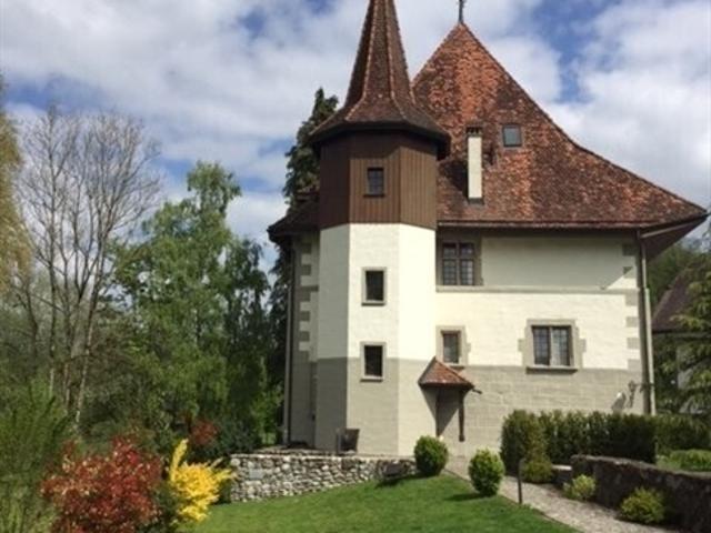 Grosse Loft Dach Wohnung im Schlössli Sensebrück