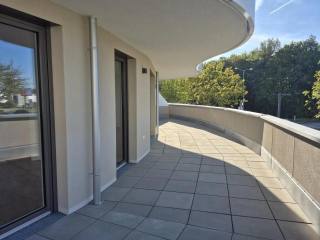 Große Süd Westterrasse! 3 Zimmer