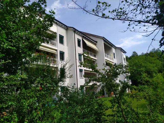 Grosse Wohnung an beliebter Lage mit sonnigem Balkon