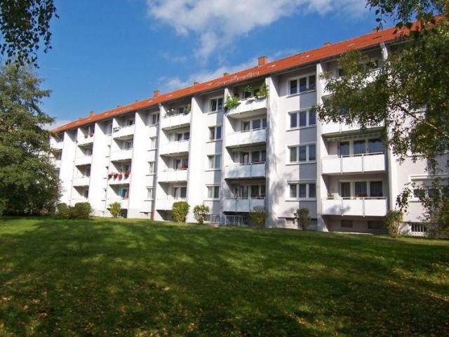 Großer Balkon. frisch renoviert. neuer Vinylbelag.
