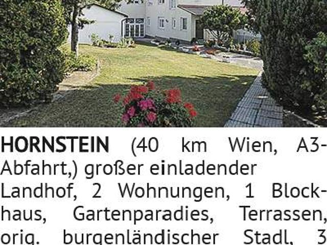 Großer einladender Landhof, 2 Wohnungen, 1 Blockhaus, Gartenparadies, Terrassen, orig. burgenländisc